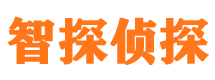 田阳私人调查